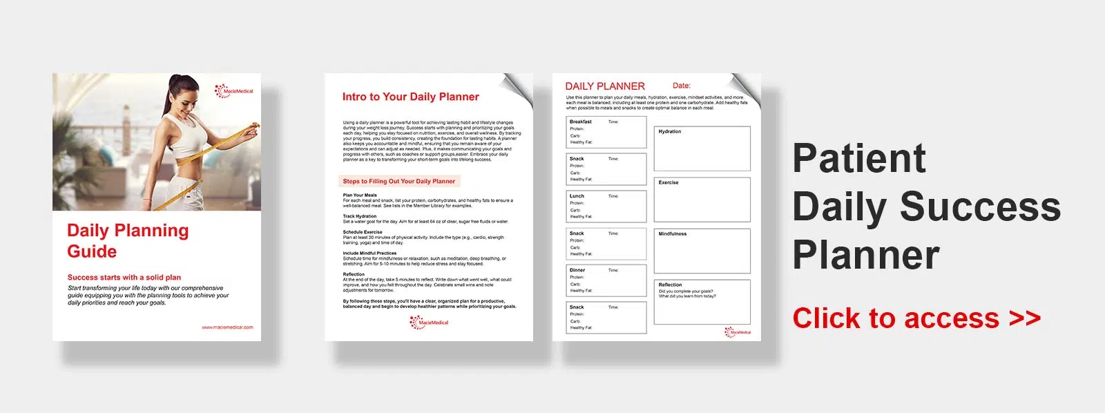 Daily Planning Guide