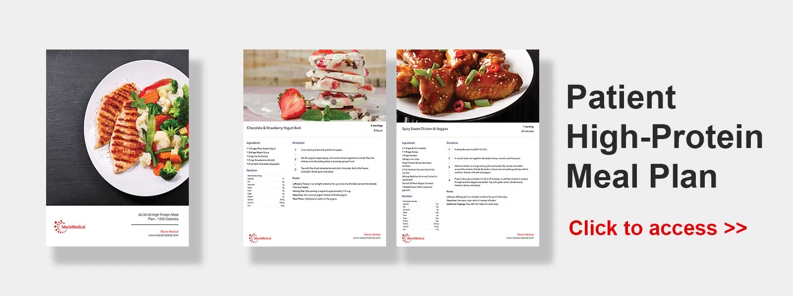 High Protein Meal Plan