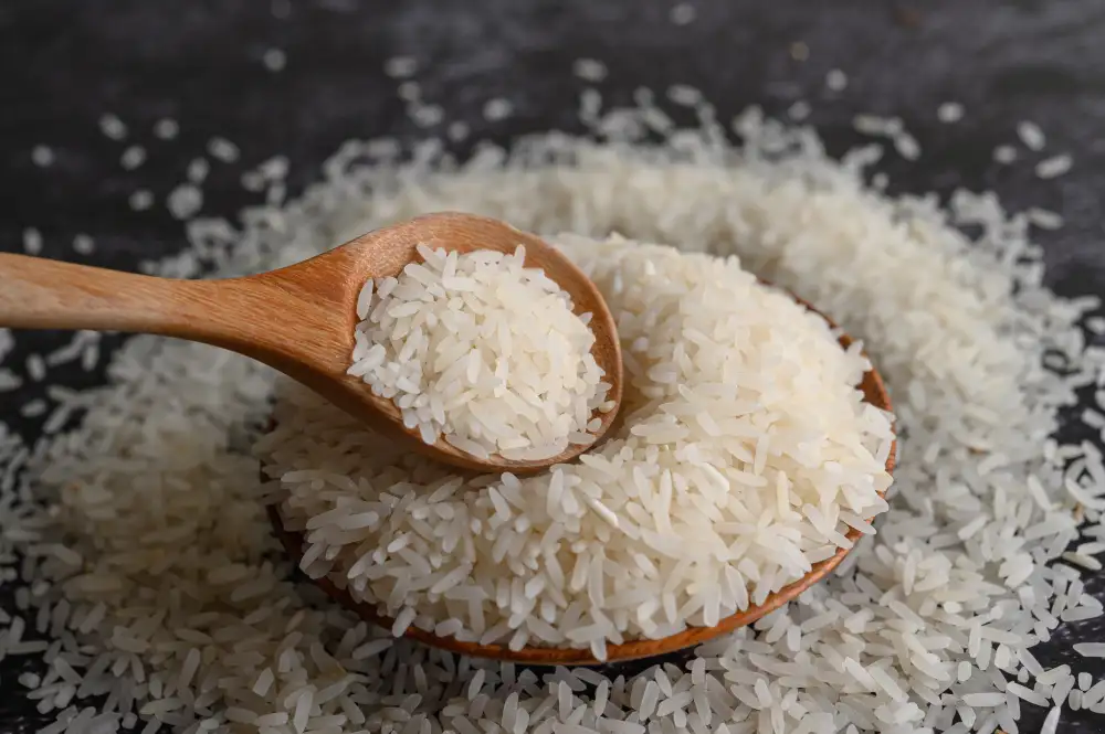 A spoon of white rice in a plate
