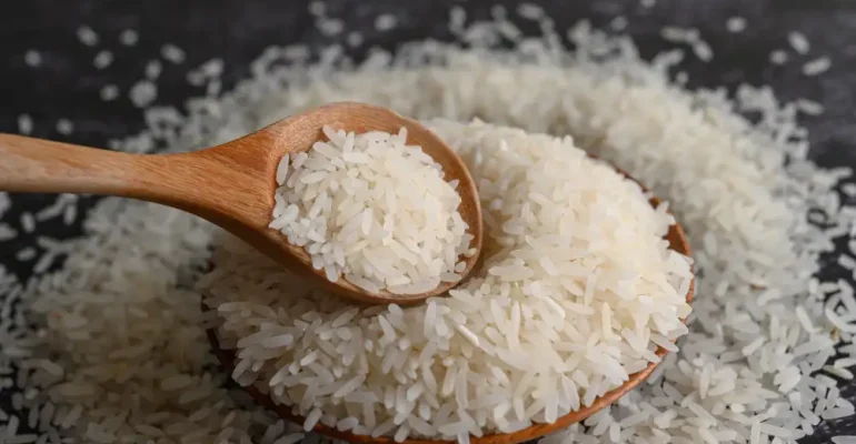 A spoon of white rice in a plate